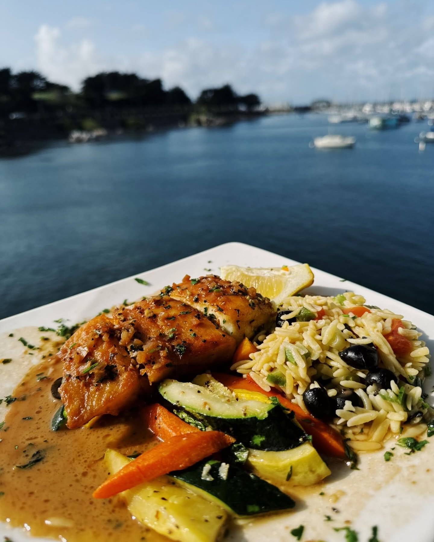 Mesquite grilled wild salmon over the harbor